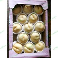 Gambar Buah Peach Jepang Premium Original | Japanese White Golden Peach 1 box dari Ari NK Freshfruits undefined 1 Tokopedia