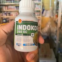 Gambar Indokor 250 EC 80ml Fungisida pembasmj jamur tanaman dari Luwes Tani Kendal undefined 1 Tokopedia