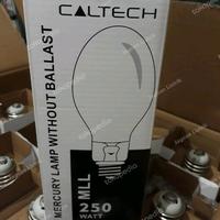 Gambar Lampu Mercury 250 Watt Caltech ML 250W Lampu Jalan Pengganti Philips dari Jagoan Listrik undefined 2 Tokopedia