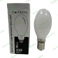 Gambar Lampu Mercury 250 Watt Caltech ML 250W Lampu Jalan Pengganti Philips dari Jagoan Listrik undefined 1 Tokopedia