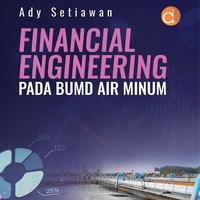 Gambar BUKU FINANCIAL ENGINEERING PADA BUMD AIR MINUM ORIGINAL dari saddega olshop undefined 1 Tokopedia