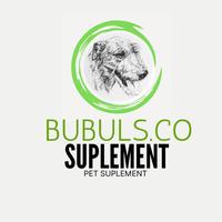 Gambar Minyak ikan-Fish Oil 500mg | Vitamin dan Suplement Anjing dan Kucing - 60 Pcs dari Bubuls Co.ID undefined 3 Tokopedia