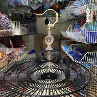 Gambar Sangkar Kandang Murai Batu No. 2 BNR BLACK REBORN PVC Orginal Asli dari FIL SANGKAR JAKARTA undefined 4 Tokopedia