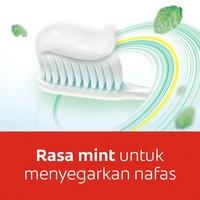 Gambar Colgate Maximum Cavity Protection Great Regular Toothpaste 180 gr - 1 pcs dari Bella shop TNG undefined 3 Tokopedia