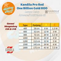 Gambar Kandila Pro Red One Billion Gold 800 72cm Lampu Celup Ikan Arowana dari Bintang Abadi Pet Shop undefined 2 Tokopedia