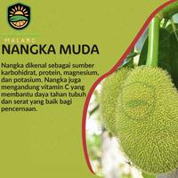 Gambar nangka muda sayur / gori / tewel - 250 gram dari Babay Farm Malang undefined 2 Tokopedia