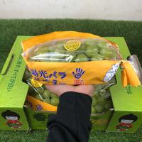 Gambar Buah Anggur Muscat 1 Box dari ALFIAH SMART undefined 1 Tokopedia