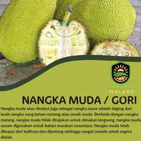 Gambar nangka muda sayur / gori / tewel - 250 gram dari Babay Farm Malang undefined 1 Tokopedia