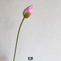 Gambar Bunga Tangkai Hias Cantik / Artificial Lotus Parts EB Home 978 dari EB Home Decor & Living undefined 3 Tokopedia