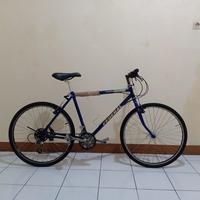 Gambar Sepeda Federal Torino Terrain dari prelovedmarmits undefined 1 Tokopedia