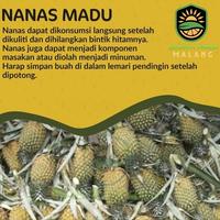 Gambar Buah Nanas Madu - Kupas dari Babay Farm Malang undefined 3 Tokopedia