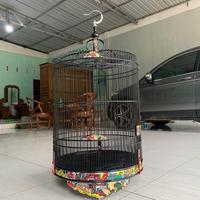 Gambar sangkar murai decal sangkar decal sangkar custom dari sh.sangkarukirjepara undefined 1 Tokopedia