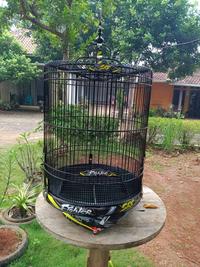 Gambar sangkar murai decal sangkar decal sangkar custom dari sh.sangkarukirjepara undefined 3 Tokopedia