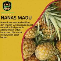 Gambar Buah Nanas Madu - Kupas dari Babay Farm Malang undefined 2 Tokopedia