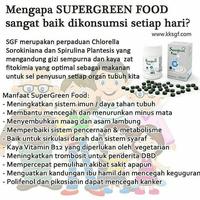 Gambar Supergreen Food 600 Tabs sgf dari kkstore Malang undefined 4 Tokopedia