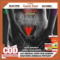 Gambar Obat Cedera Tulang Bokong,Nyeri Tulang Bokong,Nyeri Tulang Ekor/Pantat dari sehatherbalstore undefined 1 Tokopedia