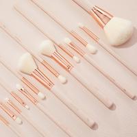 Gambar ColourPop Makeup Brush Kit - Ultimate Brush Roll dari Luxeholic undefined 5 Tokopedia