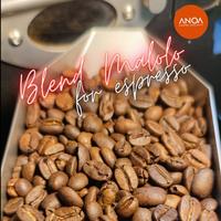 Gambar Anoaco Roastery  Kopi Blend Malolo 1KG dari Anoaco Roastery undefined 3 Tokopedia