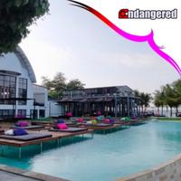Gambar Paket Wisata Tour Pulau Umang Banten - Floating, 6 org dari Endangered Store undefined 3 Tokopedia