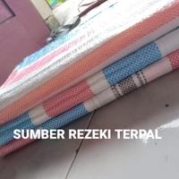 Gambar Terpal jemur padi tebal 4 x 6 / terpal jemur jagung / terpal jemur dari SUMBER REZEKI TERPAL undefined 3 Tokopedia