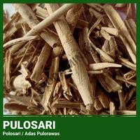Gambar Kayu Pulosari Kulit Kering Adas Pulowaras Batang Pulasari Polosari Masak Premium - 500 Gram dari RODA MINANG undefined 5 Tokopedia