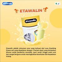 Gambar Etawalin Susu Kambing Etawa atasi Radang Sendi Osteoporosis 200gr dari Lemuella Shop_NEW undefined 3 Tokopedia