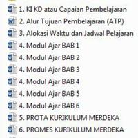 Gambar MODUL AJAR MAPEL PJOK FASE E SMA KLS X dari risky books undefined 3 Tokopedia