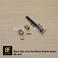Gambar Baut furniture knock down M6 x 6 cm & mur / mur baut mebel knock down - Nanas dari Bursa Fittings undefined 1 Tokopedia