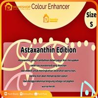 Gambar Pelet Ikan Colour Enhancer Penajam Warna Premium IKANKU Micro dari Homeshop Indonesia undefined 2 Tokopedia