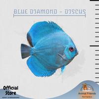 Gambar IKAN HIAS DISCUS BLUE DIAMOND dari Animal Friends ID undefined 2 Tokopedia