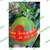 Gambar Jeruk bali jumbo tangkai | buah jeruk bali tangkai imlek | pcs dari FRMARKET99 undefined 1 Tokopedia