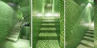 Gambar Mozaic Mozaik Mosaic Mosaik Type Cascara Green Leaf - Venus dari Guyub1349 undefined 3 Tokopedia