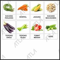 Gambar Benih Sayuran Buah Bibit Tanaman Biji Vegetable Seed Unggul Tumbuh - Kedelai Tumpang dari Atla Agrikultur undefined 4 Tokopedia