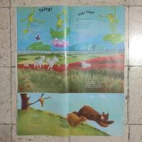 Gambar Buku Erlangga for Kids (Bilingual, 3 Judul) - Kecebong Kecil dari deasy second undefined 3 Tokopedia