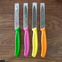 Gambar PISAU PARING VICTORINOX dari HidupBaru118 undefined 1 Tokopedia