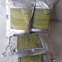 Gambar Fungisida Hayati Tricoderma Trico Z Pupuk Organik kemasan 100 gram dari QIANZY57 undefined 2 Tokopedia