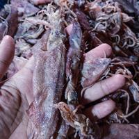 Gambar IKAN ASIN CUMI PANJANG GEPENG 250gram,500gram dan 1kg - 500gram dari Ikan_asin_grosirshop undefined 2 Tokopedia
