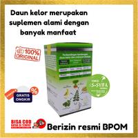 Gambar Kapsul Ekstrak Daun Kelor Darusyifa Moringa Kapsul K lor Darusyifa 60 dari as syifa herbal Depok undefined 2 Tokopedia