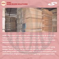 Gambar TRIPLEX FILM FACE 12 mm 1220x2440mm  - 2 MUKA - 12 mm - 2 MUKA  dari Hoki Plywood undefined 2 Tokopedia