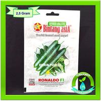 Gambar Benih Bibit Timun Jepang Hibrida RONALDO F1 Bintang Asia Kyuri Seeds dari Dunia Ponics undefined 3 Tokopedia