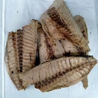 Gambar Ikan TongkoL Pindang/Ikan Tongkol Potong/Ikan Cue Tongkol Pindang/Ikan - 200gr dari serbaadaa0 undefined 1 Tokopedia