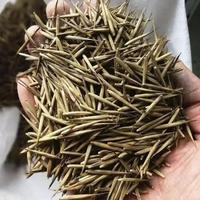 Gambar Biji Benih Tanaman Bambu Ungu F1 Import / Benih Bambu / Bibit Bambu / dari Parabinta undefined 4 Tokopedia