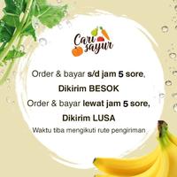 Gambar CARI SAYUR - Jagung Muda Putren Kulit [250 gram/pack] - 250 gram dari Carisayur Official undefined 2 Tokopedia