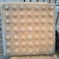 Gambar Tegel Paving Ubin Tactile Ubin Disabilitas Guiding Block Difabel - Line dari KOTKA INDO PUTRA undefined 2 Tokopedia