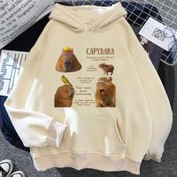 Gambar Hoodie Capybara Kawaii Kartun Anime Sweater Fashion  Fleece Nyaman Unisex - MOTIF 5, M dari KAOS DISTRO 4U undefined 5 Tokopedia