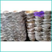 Gambar Sudi Tatakan Kue Bikang isi 200pcs Berkualitas - Putih dari TokoPlastik26 undefined 2 Tokopedia