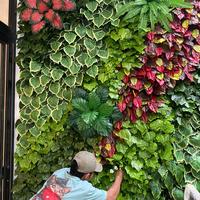 Gambar Dekorasi Tanaman Hias Artificial - Vertical Garden Sintetis dari Green Wall Artificial undefined 2 Tokopedia
