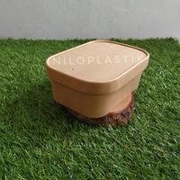 Gambar Kraft Paper Lunch Box RECT + tutup 750ml / Food Container ecofriendly dari Inilo Plastik undefined 3 Tokopedia