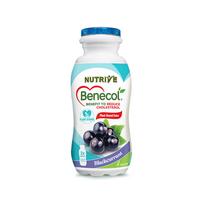 Gambar nutrive benecol blackcurrant (sebaiknya pengiriman instan) dari Grandhusada undefined 1 Tokopedia