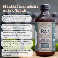 Gambar Paket Coba-Coba Kombucha Rasa Favorit - 3x330 ml - Pilih sendiri, 3 x 330ml dari Ramuraga.co undefined 3 Tokopedia
